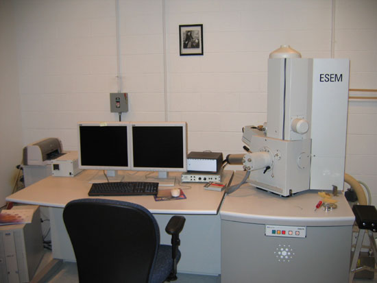 Sem Xl 30 Environmental Scanning Electron Microscope The Department Of Earth And Planetary 6501